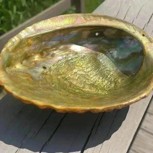Vintage shell bowl. This is over 50 years old. - Picture 2 of 5